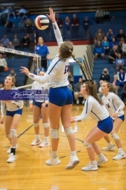 Volleyball Foard at West Henderson Rd 3_BRE_7071