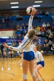 Volleyball Foard at West Henderson Rd 3_BRE_7202