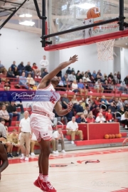 Basketball: TC Roberson at Hendersonville BRE_3004