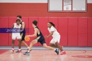 Basketball: TC Roberson at Hendersonville BRE_3020