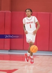 Basketball: TC Roberson at Hendersonville BRE_3045