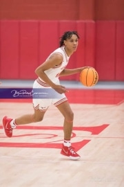 Basketball: TC Roberson at Hendersonville BRE_3062