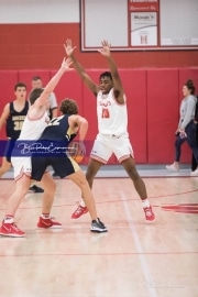 Basketball: TC Roberson at Hendersonville BRE_3078