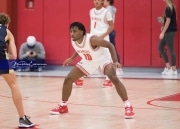 Basketball: TC Roberson at Hendersonville BRE_3080