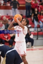 Basketball: TC Roberson at Hendersonville BRE_3238