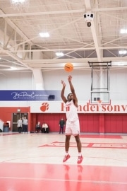 Basketball: TC Roberson at Hendersonville BRE_3325