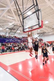 Basketball: TC Roberson at Hendersonville BRE_3416