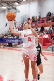 Basketball: TC Roberson at Hendersonville BRE_2701