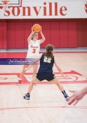 Basketball: TC Roberson at Hendersonville BRE_2706