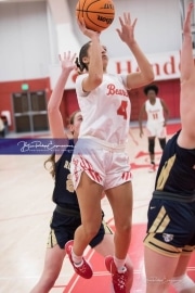 Basketball: TC Roberson at Hendersonville BRE_2718
