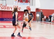 Basketball: TC Roberson at Hendersonville BRE_2736