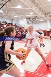 Basketball: TC Roberson at Hendersonville BRE_2746