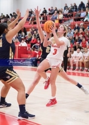 Basketball: TC Roberson at Hendersonville BRE_2763