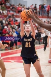 Basketball: TC Roberson at Hendersonville BRE_2833