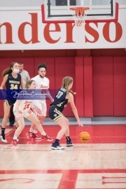 Basketball: TC Roberson at Hendersonville BRE_2867