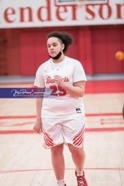 Basketball: TC Roberson at Hendersonville BRE_2877