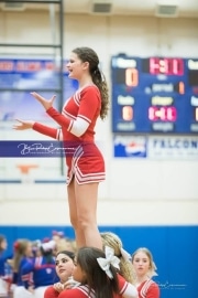Basketball: Hendresonville at West Henderson_BRE_3555