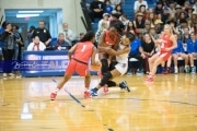 Basketball: Hendresonville at West Henderson_BRE_3584
