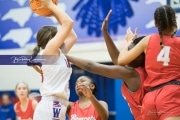 Basketball: Hendresonville at West Henderson_BRE_3587