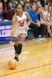 Basketball: Hendresonville at West Henderson_BRE_3591