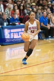 Basketball: Hendresonville at West Henderson_BRE_3592