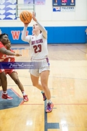 Basketball: Hendresonville at West Henderson_BRE_3593