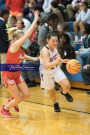 Basketball: Hendresonville at West Henderson_BRE_3602
