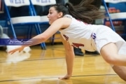 Basketball: Hendresonville at West Henderson_BRE_3637