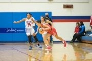 Basketball: Hendresonville at West Henderson_BRE_3644