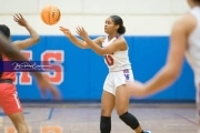 Basketball: Hendresonville at West Henderson_BRE_3656