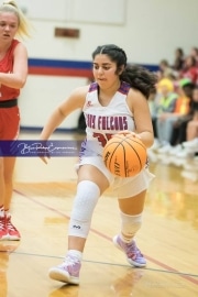 Basketball: Hendresonville at West Henderson_BRE_3662