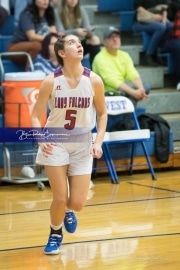 Basketball: Hendresonville at West Henderson_BRE_3673