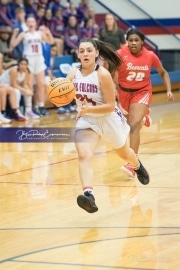Basketball: Hendresonville at West Henderson_BRE_3683