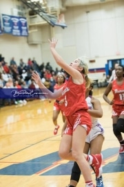 Basketball: Hendresonville at West Henderson_BRE_3710