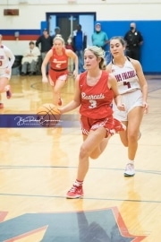 Basketball: Hendresonville at West Henderson_BRE_3750
