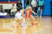Basketball: Hendresonville at West Henderson_BRE_3801
