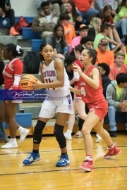 Basketball: Hendresonville at West Henderson_BRE_3858