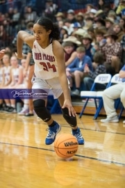 Basketball: Hendresonville at West Henderson_BRE_3879