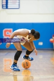 Basketball: Hendresonville at West Henderson_BRE_3890