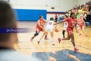 Basketball: Hendresonville at West Henderson_BRE_3925