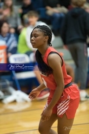 Basketball: Hendresonville at West Henderson_BRE_3940