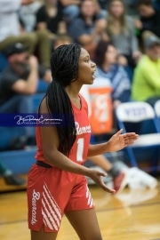 Basketball: Hendresonville at West Henderson_BRE_3942