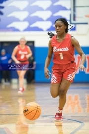 Basketball: Hendresonville at West Henderson_BRE_3966