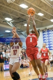 Basketball: Hendresonville at West Henderson_BRE_3969