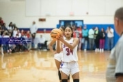 Basketball: Hendresonville at West Henderson_BRE_4041