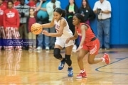 Basketball: Hendresonville at West Henderson_BRE_4060
