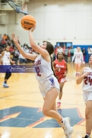 Basketball: Hendresonville at West Henderson_BRE_4067