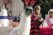 2021 Hendersonville Christmas Parade BRE_4895