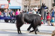 2021 Hendersonville Christmas Parade BRE_4897