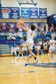 Boys  Basketball Brevard at West Henderson_BRE_6110